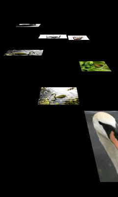 Floating Image 3