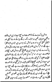 199-Hot Field  By Mazhar Kaleem M.A 