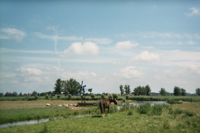 Ergens in Noord-Holland, 2012