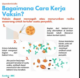 Bagaimana cara kerja vaksin Covid - 19 ?