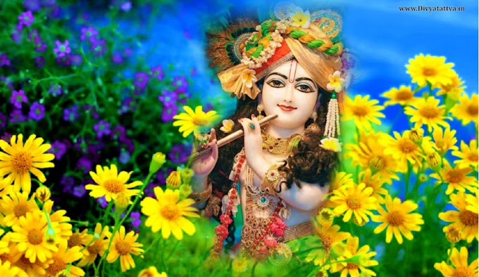 Lord Sri Krishna Srimati Radha Rani 4K FHD Wallpaper Images 