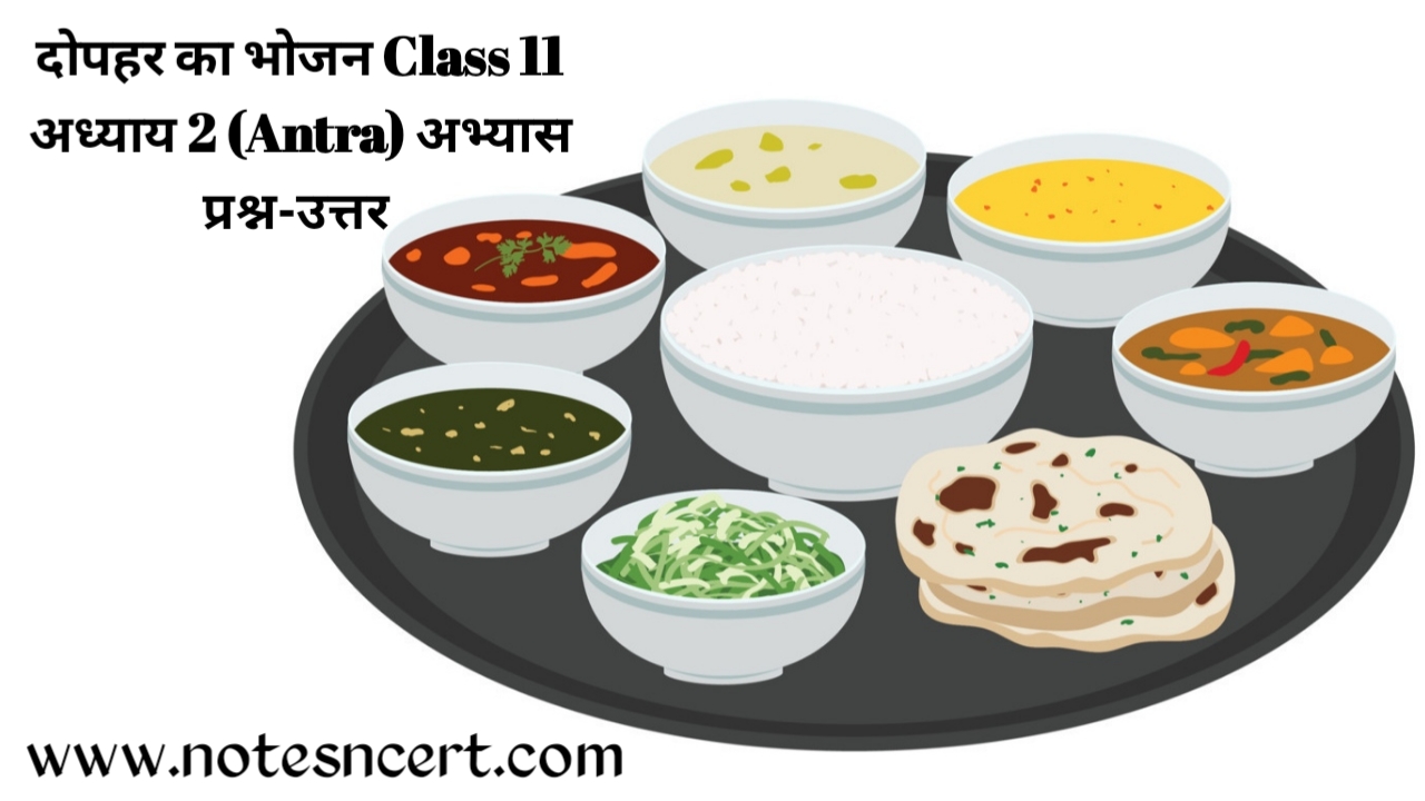 NCERT Solutions for Class 11 Hindi (Antra) Chapter-2
