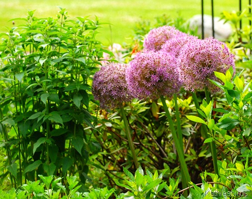 3. flowers-kab