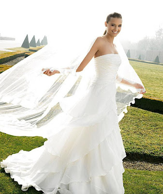 Wedding Bridal dresses photo