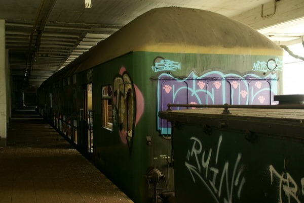 Ale 01