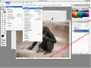 Memanipulasi Kepala Monyet Dengan Kerbau Dengan Photoshop