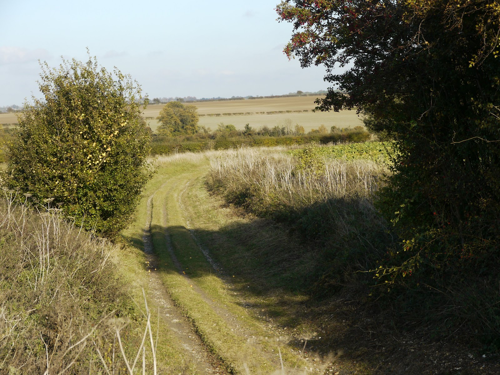P1000628.JPG