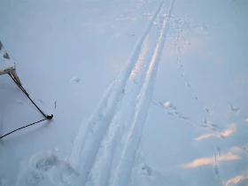 helmikuu, vanha kelkka, latu