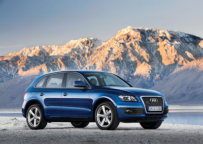 2009 Audi Q5