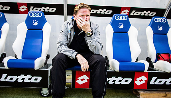 Markus Gisdol hoffenheim