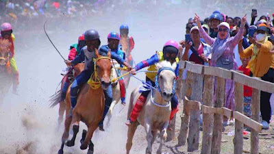 Pacuan Kuda Piala Walikota Bima 2023 Sukses Digelar, Pemkot Apresiasi Kinerja Panitia Pelaksana