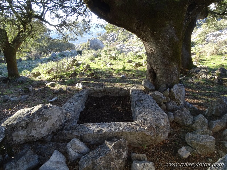 Los Lajares - Llanos de Zurraque - Cortijo del Mojon Alto - Cabeza de Caballo - Llanos del Republicano