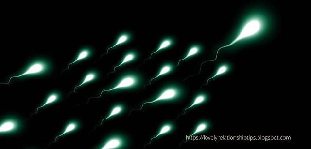 Image_Sperm