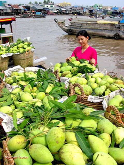 Vietnam - paradise of tropical fruits 2