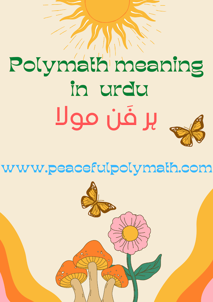 POLYMATH MEANING IN URDU