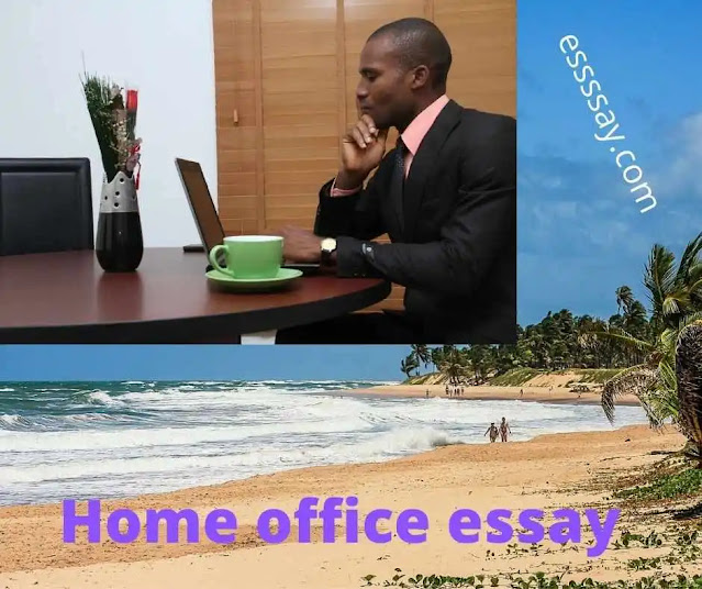 Home Offices Essay | The Complete Guide to Home Offices