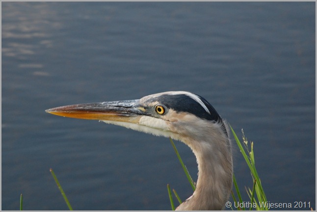 DSC_0092 DSC_0092