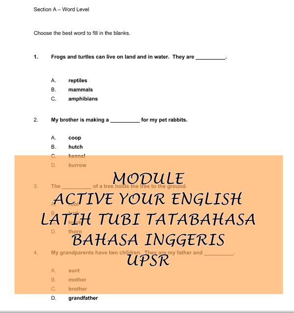 BAHAN UPSR 2016: MODULE ACTIVE YOUR ENGLISH  LATIH TUBI 