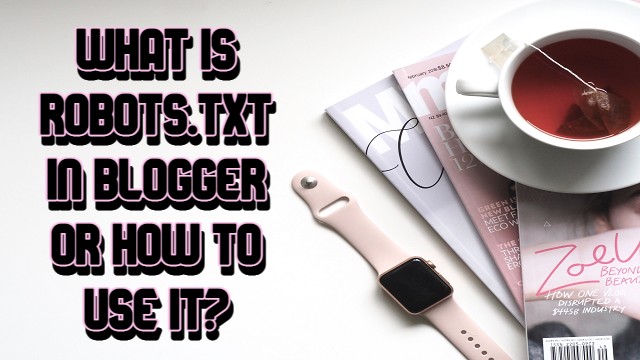 What is Robots.txt in Blogger or how to use it?