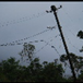 View album