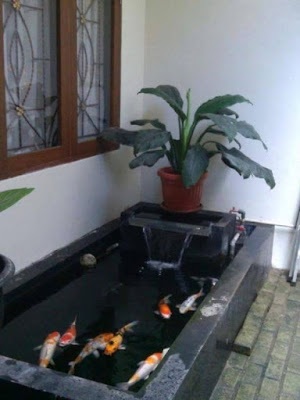 Model Kolam Ikan Minimalis di Halaman Rumah 