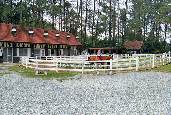 Fraser's Hill Horse Riding