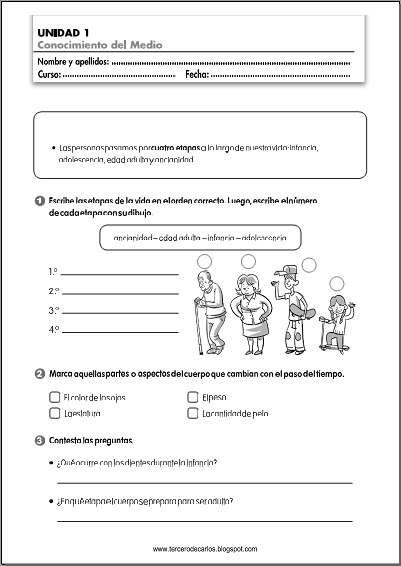 http://www.primerodecarlos.com/TERCERO_PRIMARIA/septiembre/unidad1/fichas/cono/ficha6.pdf