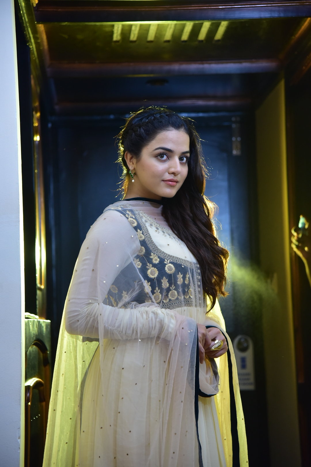 Wamiqa Gabbi HD UHD Photo