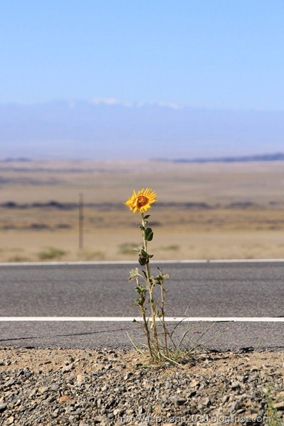 2010-09-06__12_18_3240__herman
