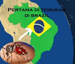 Penyebab Dan Cara Mudah Mengatasi Virus Zika