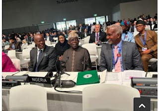 Uproar over Nigeria’s 1,411-man delegation to COP-28