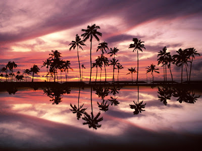 hawaii wallpaper. HAWAII BEACH WALLPAPER DESKTOP