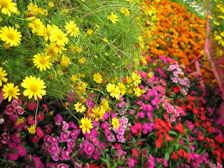 Flower Farm Business