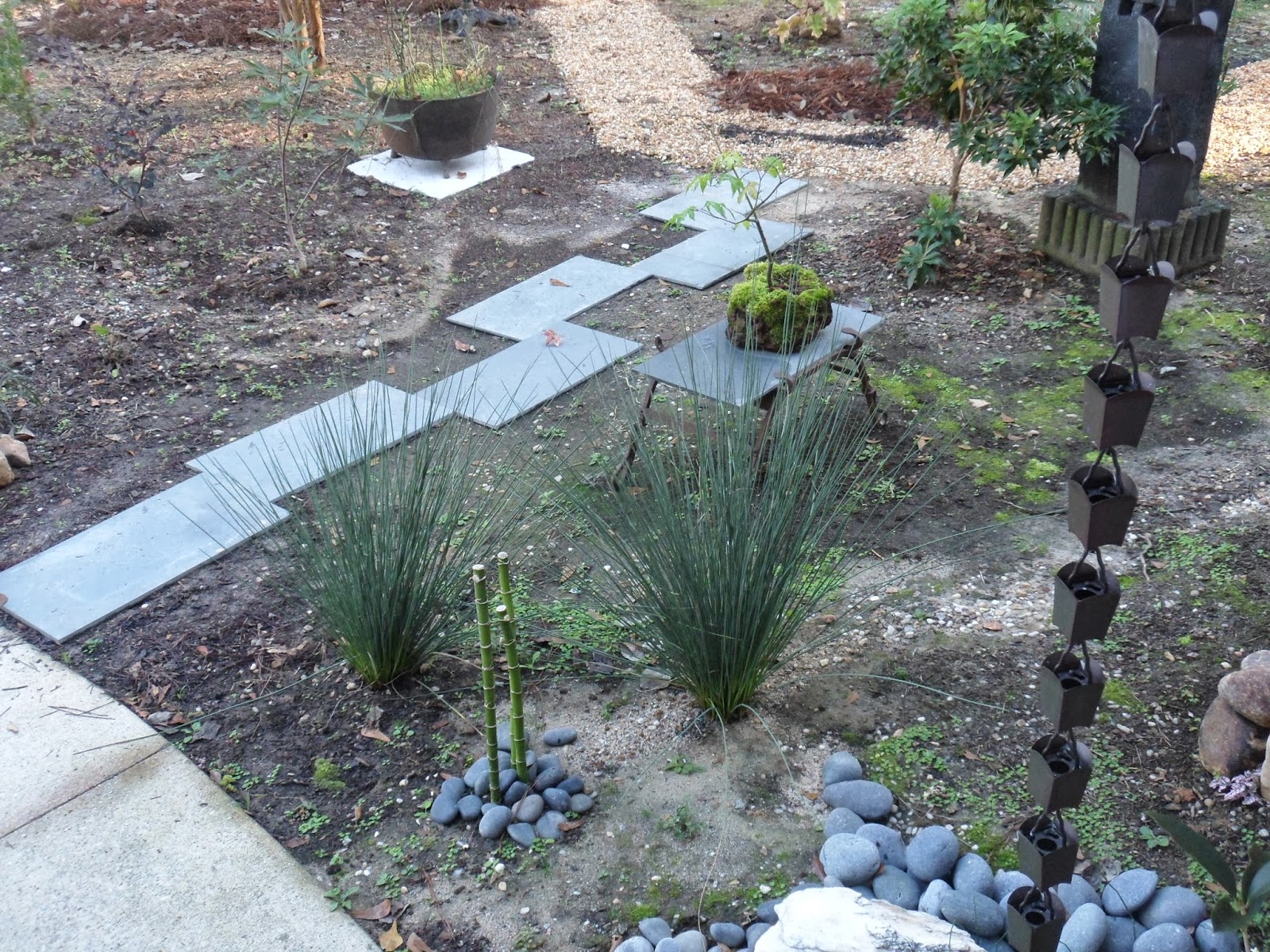 Lee May's Gardening Life: Is it a path or a stream? Yes.