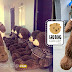 Gấu Teddy áo len Choco