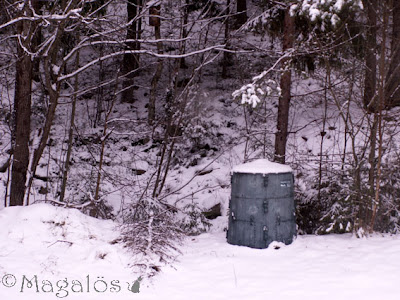 Bild från lilla köksfönstret in i skogen, snö på backen igen.