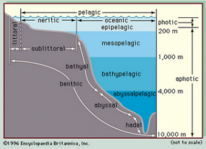 Geografi lingkungan: Zona Laut Kepulauan