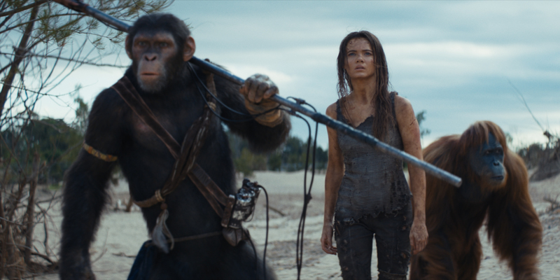 Trailer and Posters for KINGDOM OF THE PLANET OF THE APES