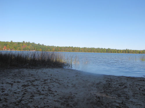 Pine Lake- Manistee National Forest