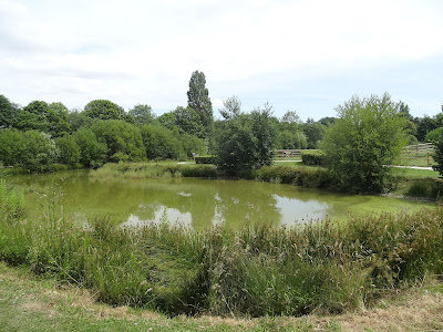 2024.06.27-016 plan d'eau