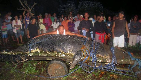 Langka Tapi Nyata: Buaya Terbesar Di Dunia [ www.BlogApaAja.com ]