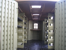 SMART SHIED THINKING OUTSIDE: SMART SHED
