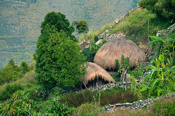 wamena