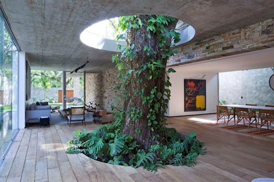 13 Times Humans Respected Mother Nature - Casa Vogue, Rio de Janeiro, Brazil