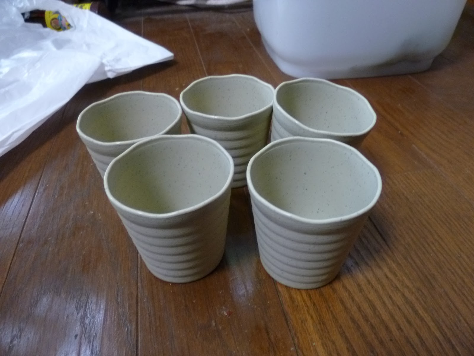 30センチ四方の海 ポット入り水草を自作してみた