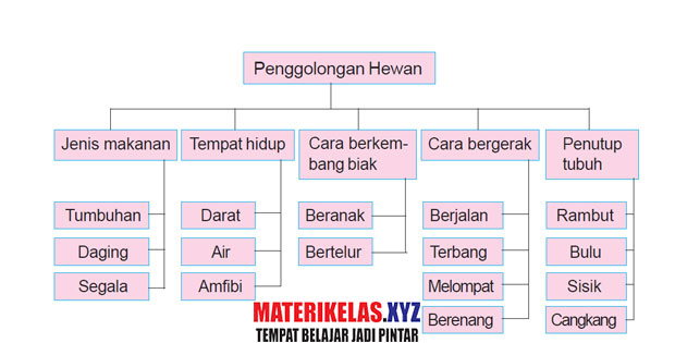  Rangkuman atau ringkasan materi pelajaran IPA untuk SD kelas  Rangkuman  3 SD/MI IPA Semester 1/2