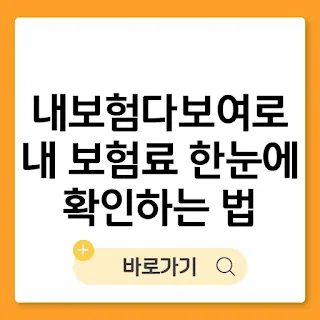 내보험다보여로 내 보험료 한눈에 확인하는 법 (본인신용정보열람서비스) 썸네일
