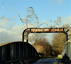 Real Cycling Youre In York Planets Trail Dogs Verdict On