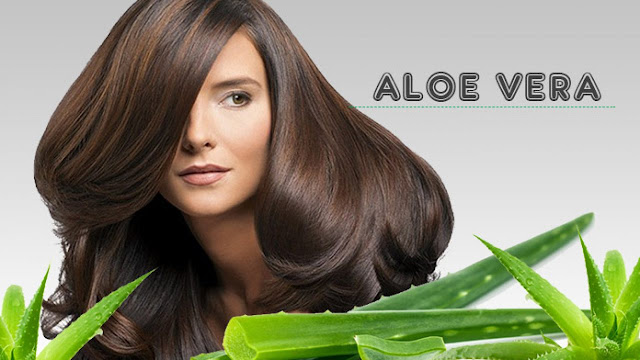 women use aloe vera for hair