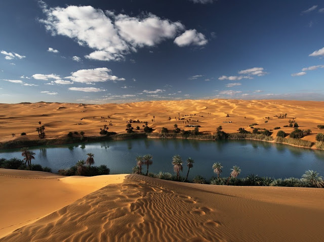 Fabulous Oasis in The Libyan Sahara